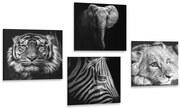 Комплект картини – Диви животни в черно-бяло