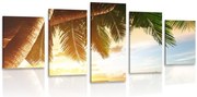 картини от 5 части – Изгрев на карибския плаж
