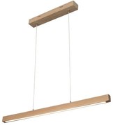 Spot-Light 1509474 - LED димируем полилей на кабел SMAL LED/12W/230V