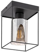 Rabalux 71031 - Таванно осветително тяло CHADWICK 1xE27/25W/230V