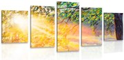 картини от 5 части – Изгрев в гората