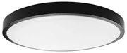 LED баня таванно осветление 36W, 230V, IP44, 4000K, Ø35 см, черно