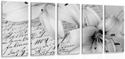 картини от 5 части – Лилии на стар документ в черно-бяло изпълнение