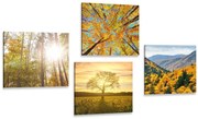 Комплект картини – Магията на есенния пейзаж