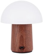 LED настолна лампа в бял и тъмно естествен цвят (височина 12,5 cm) Alice Mushroom – Gingko