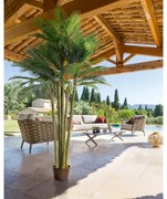 Изкуствено растение atmosphera Palm Tree, 360 cm