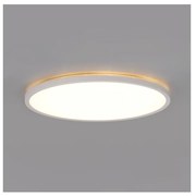 LED баня таванно осветително тяло NIVERA LED/12W/230V IP54 пр. 22,5 см бяло