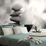 Фототапет – Черно-бели камъни и лист в купа