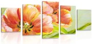 картини от 5 части – Червени лалета във винтидж стил