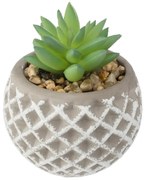 Изкуствено растение atmosphera Succulent, 9 cm, Различни видове