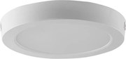 LED Плафониера LED/18W/230V 4000K Ø 21,5 см