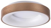 Rabalux 5052 - LED Лампа за таван CARMELA LED/30W/230V