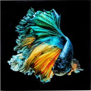 Арт.53084 Картина Glass Aqua Queen Fish 100x100cm