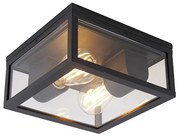 Индустриална таванна лампа черна IP44 2-светлинна - Шарлоа