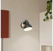 Eglo 43164 - Стенна лампа LUBENHAM 1xE27/28W/230V