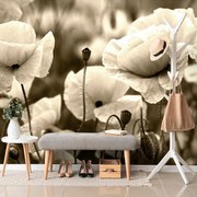 Фототапет – Сепия поле диви макове