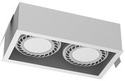 Brosline 3275 - Вградено осветително тяло CAGE 2xGU10/18W/230V бяло