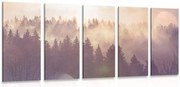 картини от 5 части – Мъгла над гората
