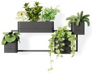 Висящи пластмасови саксии за билки в комплект от 4 броя Cubiko - Umbra