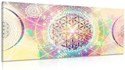 Картина на платно – Мандала в интересно изпълнение