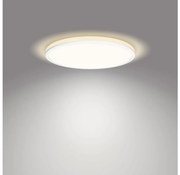 Philips- LED Димируем плафон OZZIET SCENE SWITCH LED/18W/230V 4000K