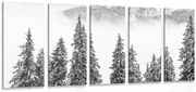 картини от 5 части – Заснежени борови дървета в черно-бяло