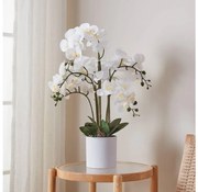 Eglo 428024 - Изкуствено растение HYUGA 65x50 см, орхидея в саксия