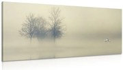 Картина на платно – Дървета в мъгла