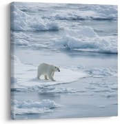 Картина на платно – Зимно царство на ледени площи