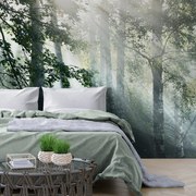 Фототапет – Слънчеви лъчи в мъглива гора