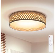 Brilagi - LED Димируем плафон CAMILA LED/48W/230V 3000-6500K + д.у.