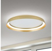 Orion DL 7-699/45-LED LED осветително тяло MANTA 38W/230V pr. 45 cm