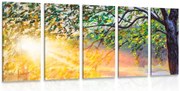 картини от 5 части – Изгрев в гората