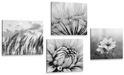 Комплект картини – Черно-бяла поляна с цветя