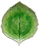 Зелена керамична чиния , 19 x 22 cm Riviera - Costa Nova