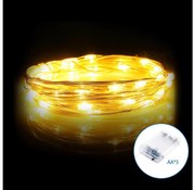 Aigostar LED коледен гирлянд 100 LED, 10,3 м, топла бяла светлина, 3xAA