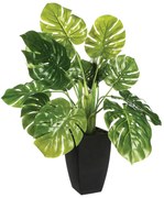 Изкуствено растение atmosphera Green, 70 cm