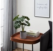 Eglo 428017 - Изкуствено растение TOBETSU 42x30 см, монстера в саксия