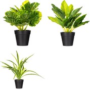 Изкуствено растение atmosphera, 30 cm, Различни видове