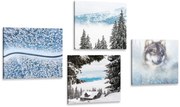 Комплект картини – Вълк в мистериозна гора