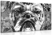 Картина на платно – Булдог в черно-бял вариант