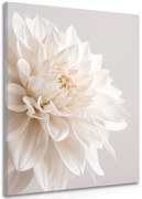 Картина на платно – Бели венчелистчета