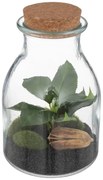 Изкуствено растение atmosphera Botanic Terrarium, 19.5 cm
