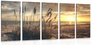 картини от 5 части – Залез на плажа