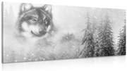 Картина на платно – Вълк в заснежена природа в черно и бяло