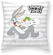 Калъфка за възглавница Looney Tunes Looney Characters A 45 x 45 cm