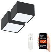 Immax Neo 07074L-15BD-К-кт 2x LED Димируема лампа CANTO 2xLED/12W/230V  + д.у.