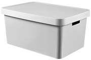 Сива кутия за съхранение с капак , 45 л Infinity - Curver
