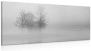 Картина на платно – Дървета в мъгла в черно-бял вариант