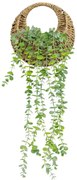 Изкуствено растение atmosphera Zea Hanging Eucalyptus, 70 cm